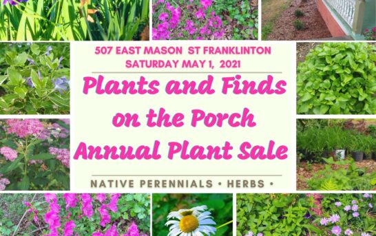 May 1: Plants and Finds on the Porch plant sale