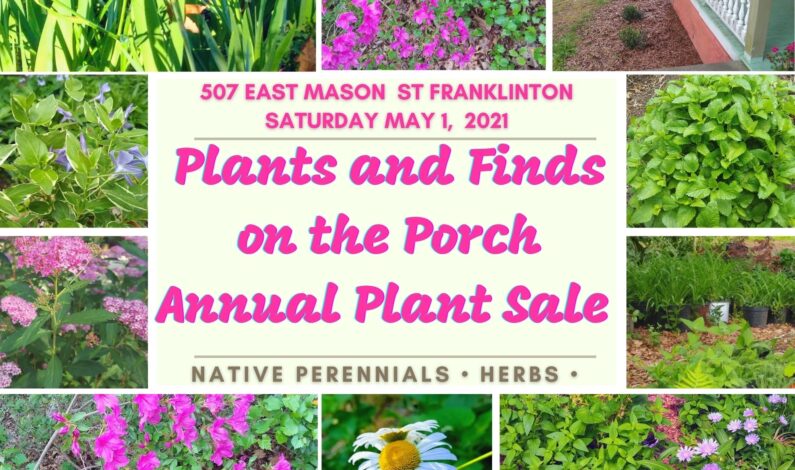 May 1: Plants and Finds on the Porch plant sale