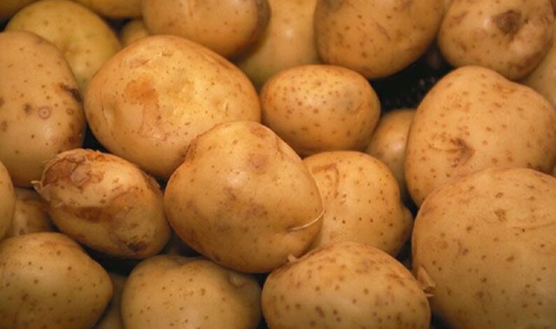 June 5: Volunteers needed for Wake Forest “Potato Drop”