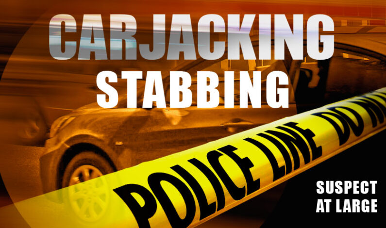 Suspect caught in stabbing